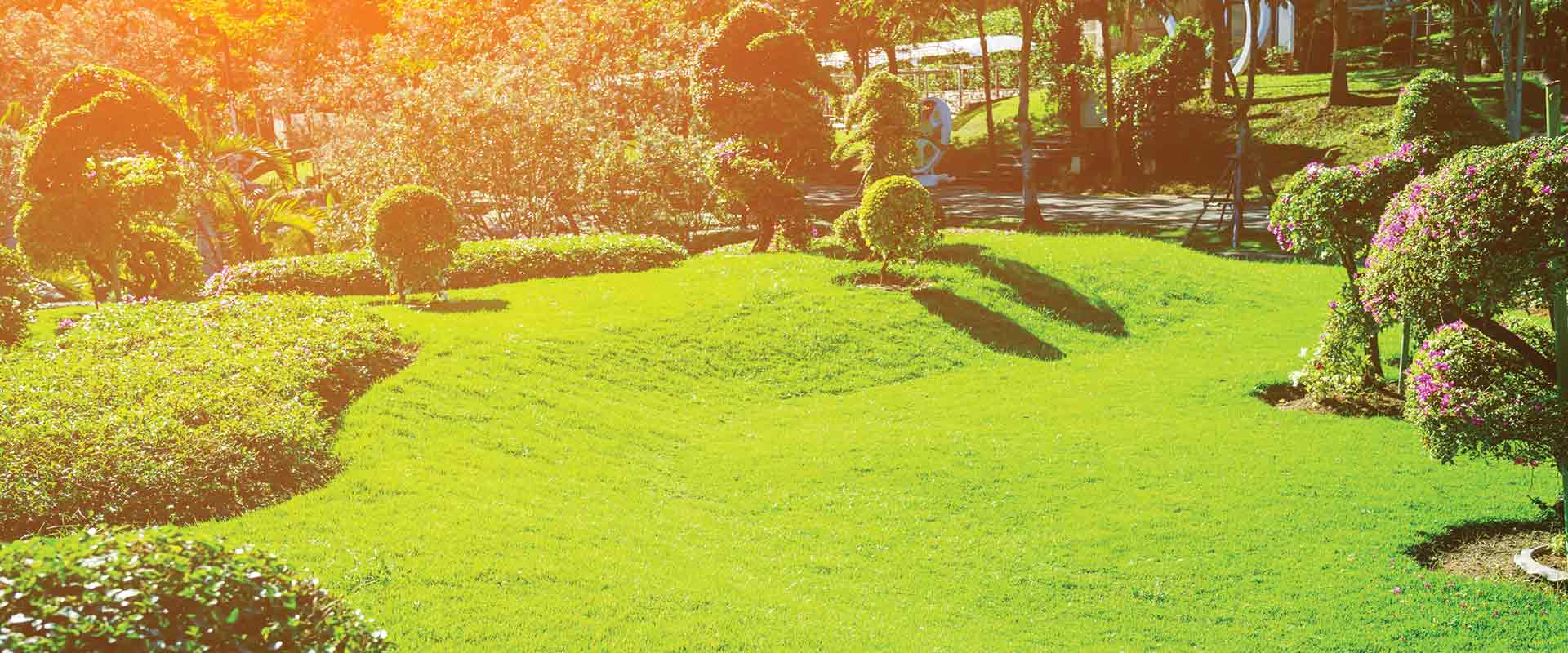 Landscaping Services Cheektowaga NY Complete Lawn & Yard Care, Inc.